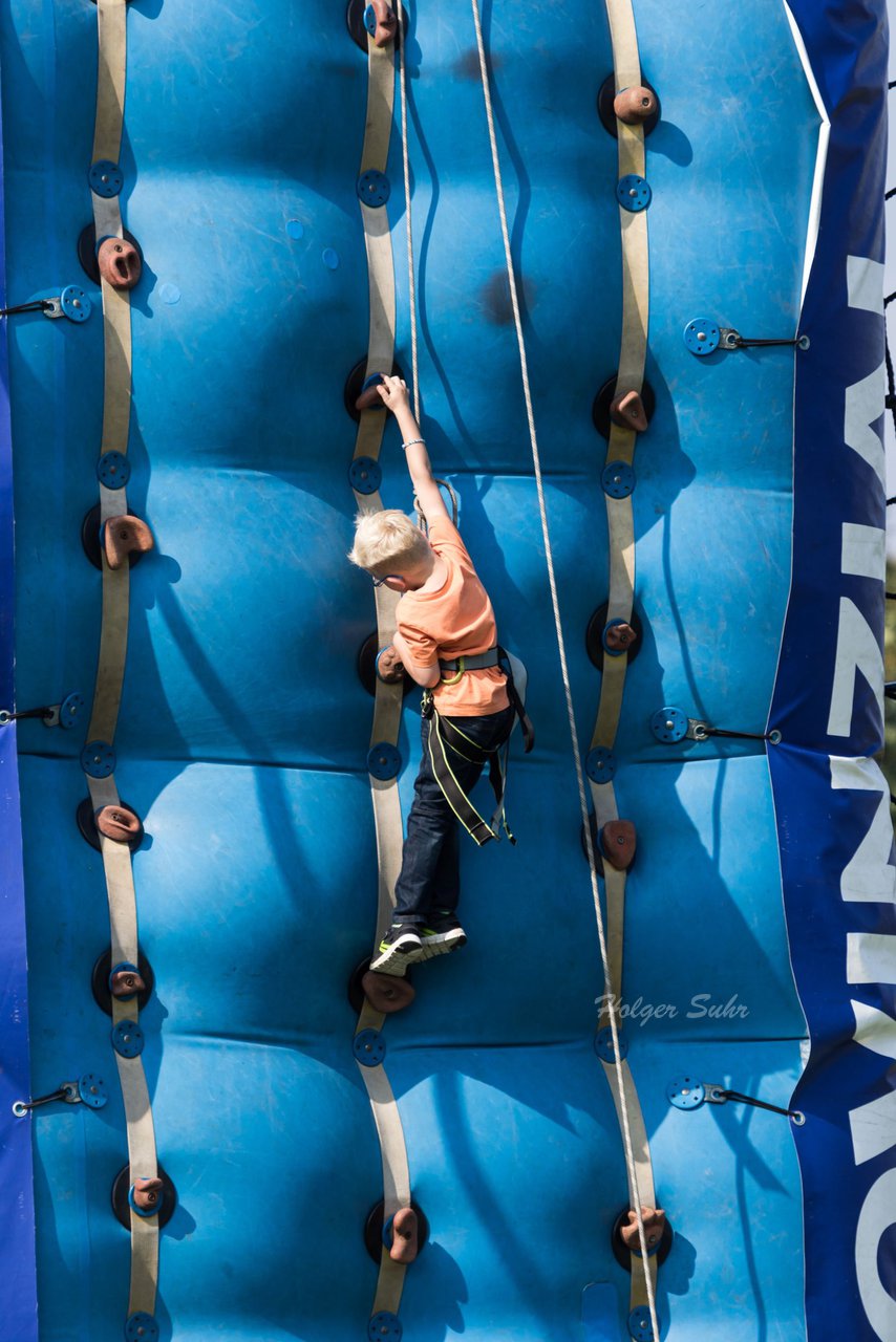 Bild 431 - Vogelschiessen